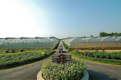 農作物種植基地:現代農業的瑰寶和創業的新方向