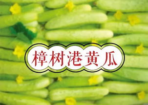 常德兩農產品新晉地標產品 快來為家鄉打call