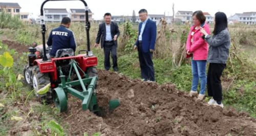 護農 撂荒地八大類特色作物典型種植模式