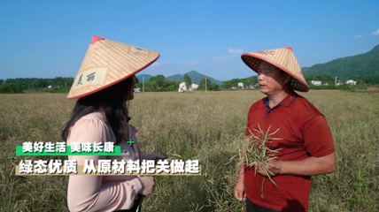 深入工廠一線,這個夏天長康帶你去探秘!
