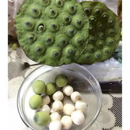 寧遠(yuǎn)妹紙們 多吃這三個 豆豆 ,讓你擁有傲人波濤