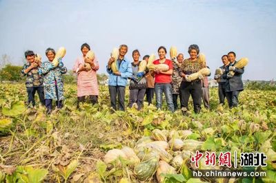 棗陽致富的秘訣