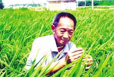 軍力和豬肉也有關系?非凡視角:大炮和黃油,體現了工業的兩面性