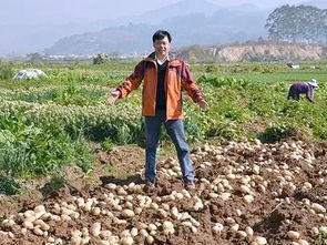 農(nóng)民院士 朱有勇,把專利分享村民,他的心和農(nóng)民兄弟緊密相連